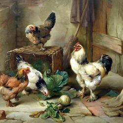 Jigsaw puzzle: Rooster and hens