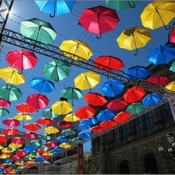 Jigsaw puzzle:  Soaring umbrellas