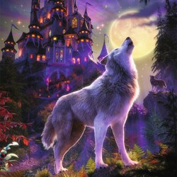 Jigsaw puzzle: Moon wolf