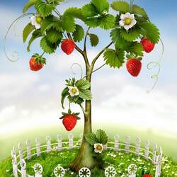 Jigsaw puzzle: Strawberry tree