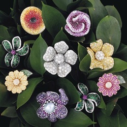 Jigsaw puzzle:  Blooming jewels