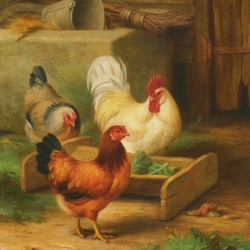 Jigsaw puzzle: In the poultry yard