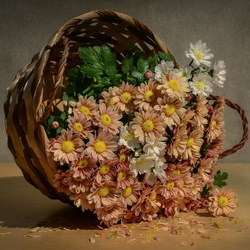 Jigsaw puzzle: Basket of flowers