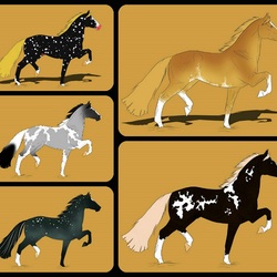 Jigsaw puzzle: Horses