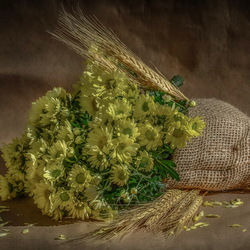 Jigsaw puzzle: Chrysanthemums and spikelets