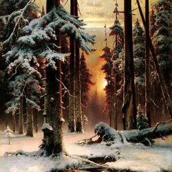Jigsaw puzzle: Winter sunset in a fir forest