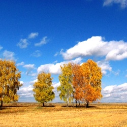 Jigsaw puzzle: Autumn in the Siberian open spaces