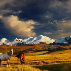Jigsaw puzzle: In the mountains of Mongolia