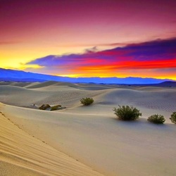 Jigsaw puzzle: Desert in the evening