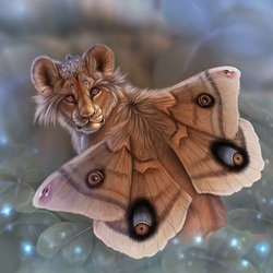 Jigsaw puzzle: Lion Butterfly