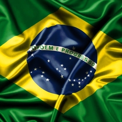 Jigsaw puzzle: Brazil flag
