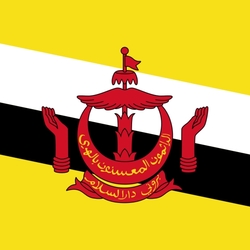 Jigsaw puzzle: Brunei flag