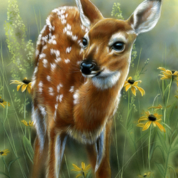 Jigsaw puzzle: Fawn