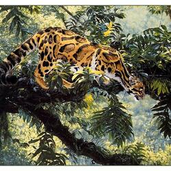 Jigsaw puzzle: Jungle ghost