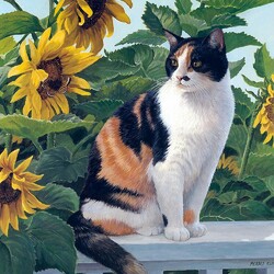 Jigsaw puzzle: Cat in sunflowers