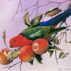 Jigsaw puzzle: Parrot and apples