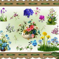 Jigsaw puzzle: Wild flowers