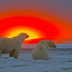 Jigsaw puzzle: Arctic sunset