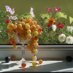 Jigsaw puzzle: Sweet grapes