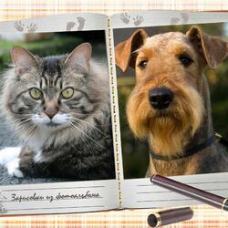 Jigsaw puzzle: My favorite pets