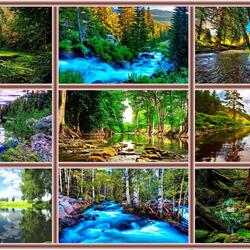 Jigsaw puzzle: Forest rivers