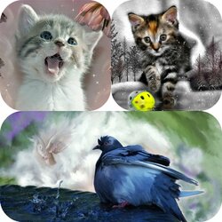 Jigsaw puzzle: Cats and pigeons