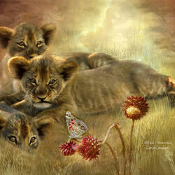 Jigsaw puzzle: Lion cubs
