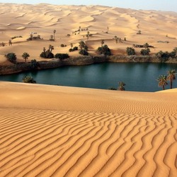 Jigsaw puzzle: Oasis in the Sahara