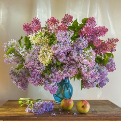 Jigsaw puzzle: Colorful lilac