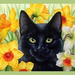 Jigsaw puzzle: Narcissus