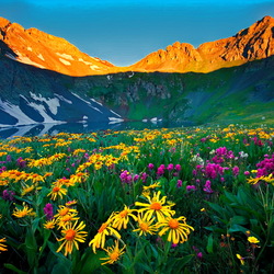 Jigsaw puzzle: Mountains in flowers