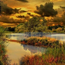 Jigsaw puzzle: Sunset over an overgrown lake