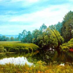 Jigsaw puzzle: Overgrown pond