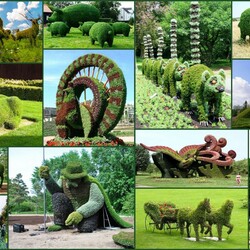 Jigsaw puzzle: Topiary