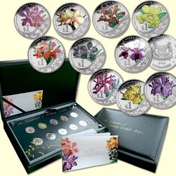 Jigsaw puzzle: Fancy coins