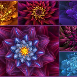Jigsaw puzzle: Magic flowers