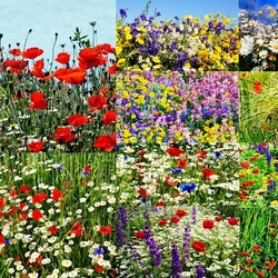 Jigsaw puzzle: In the meadow