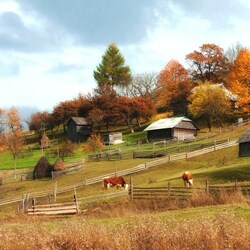 Jigsaw puzzle: Farm