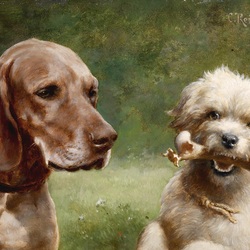 Jigsaw puzzle: Two dogs