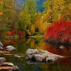 Jigsaw puzzle: Bright colors of autumn