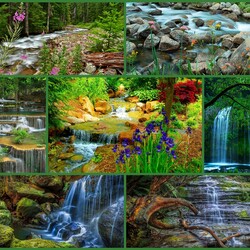 Jigsaw puzzle: Forest waterfalls
