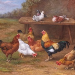 Jigsaw puzzle: In the poultry yard