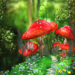 Jigsaw puzzle: Wonderful mushrooms