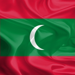 Jigsaw puzzle: Flag of the Maldives