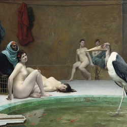Jigsaw puzzle: Marabou in a harem
