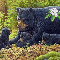 Jigsaw puzzle: She-bear and cubs
