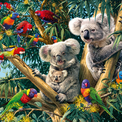 Jigsaw puzzle: Koalas