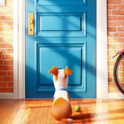 Jigsaw puzzle: The Secret Life of Pets