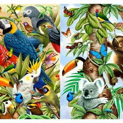 Jigsaw puzzle: Birds and beasts