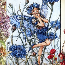 Jigsaw puzzle: Fairy cornflower